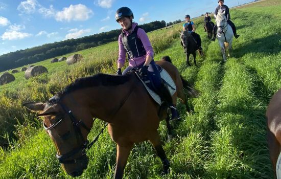Ausreiten mit Pferd im Urlaub auf Gut Gaarz