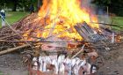Im Park 5