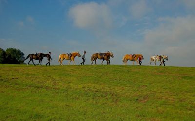 Reiten Spezial (7 Nächte)