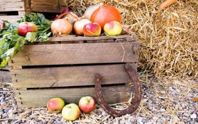 Herbst Spezial & Baby- und Kleinkindwochen (14 Nächte)